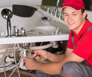 About Plumbers Pros Martin, GA